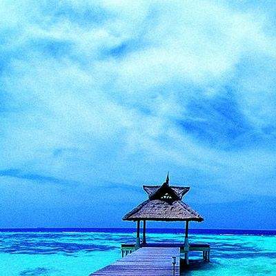 三公牛牛游戏app